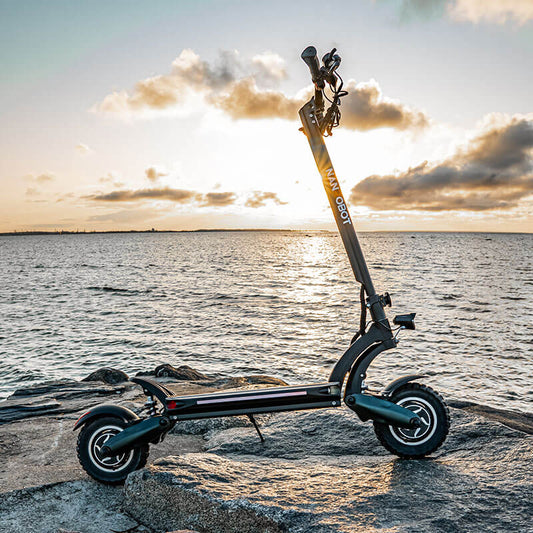 ELECTRIC SCOOTERS